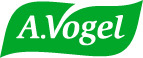 vogel